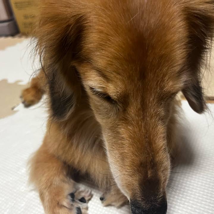 8372d046 38b7 4a96 83a3 09f5fb270fe3 1669816642686