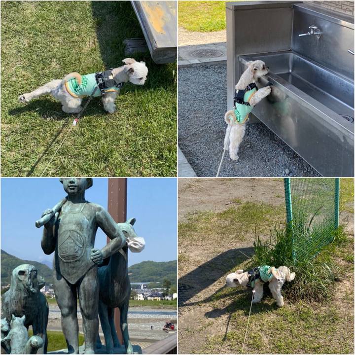 837314dd 9fa8 49db a8ec 91d83ea74deb 1588159412224