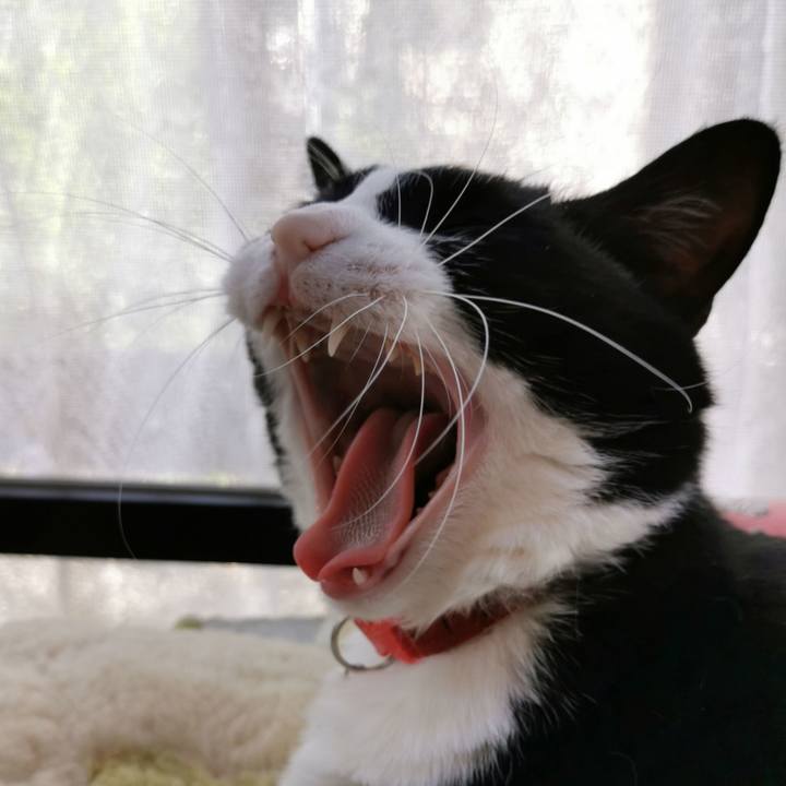 83732208 638c 45be a444 1ffb551f3f90 1623226301602