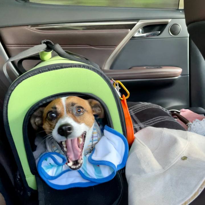 83738c40 9b28 4d96 95cc fb4cc39c4f75 1626997847192