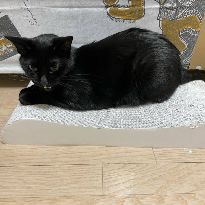 8373c769 a937 459a a7db ea62e422b970 1640180309594