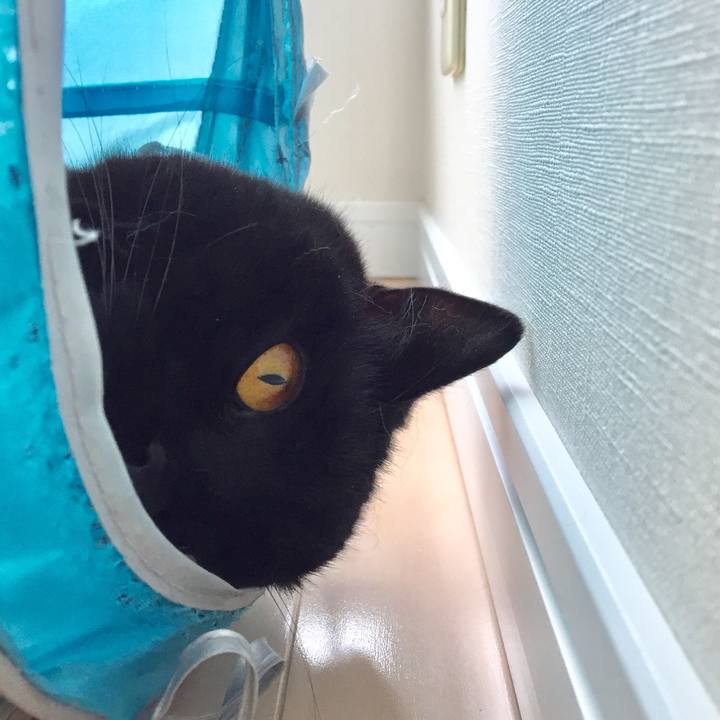 8373fb1b 6b03 4018 a083 57361bb259dc 1561781296645