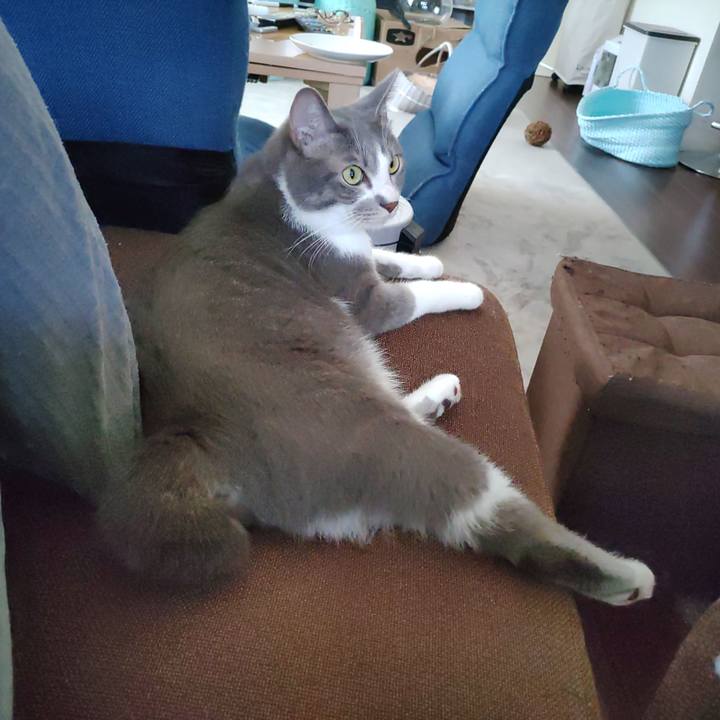 8373fc60 41f1 4633 a192 4743383205ac 1660198077783