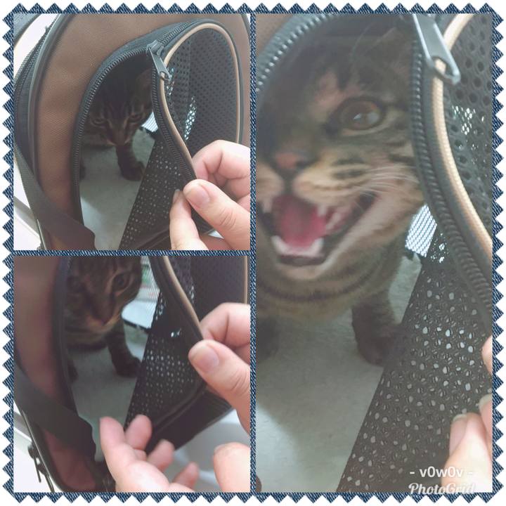 83741ca1 10bf 4ed0 a57e f3a15a6d042f 1545530048740