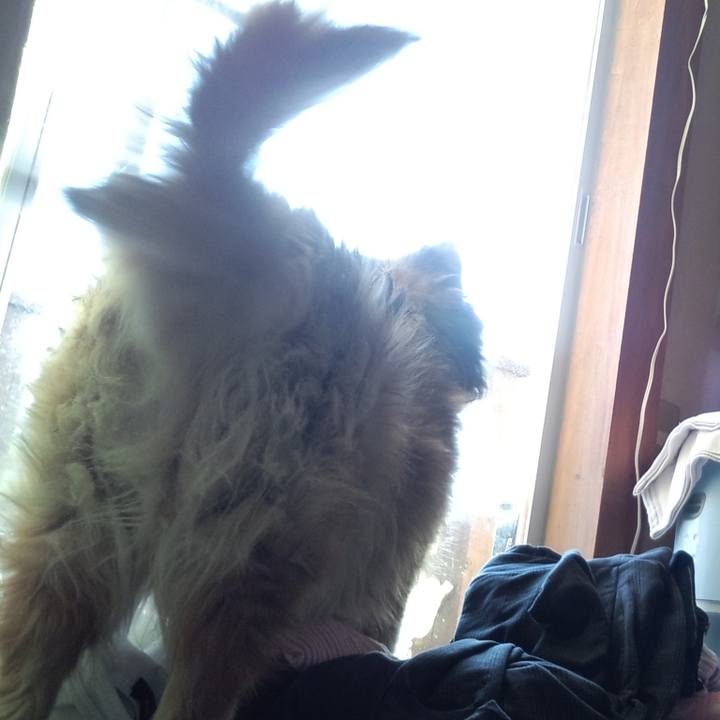 83741e10 fdc5 4e66 9147 78a30d6f66d2 1572150397356