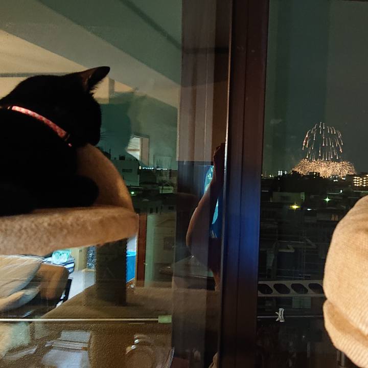 83742a8c e800 4f5c b3f5 34abca8df7be 1539427679098