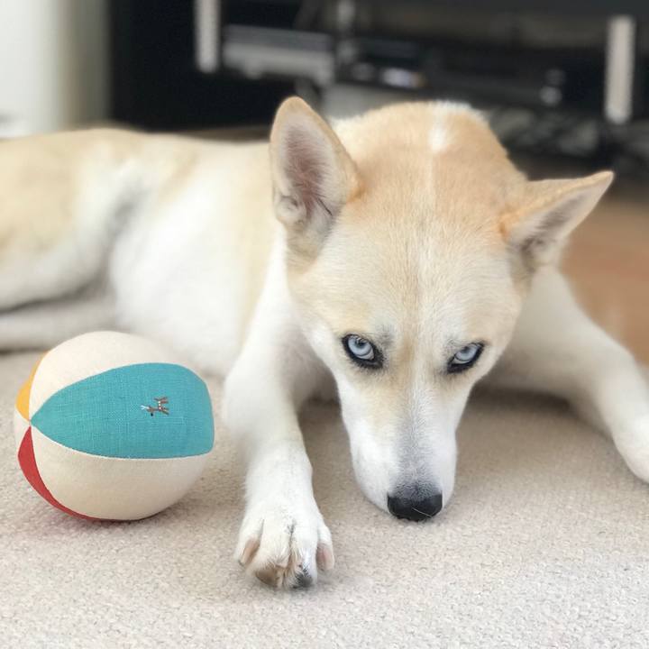 8374355a 72b6 4b04 a559 2746ef31de11 1532393016485