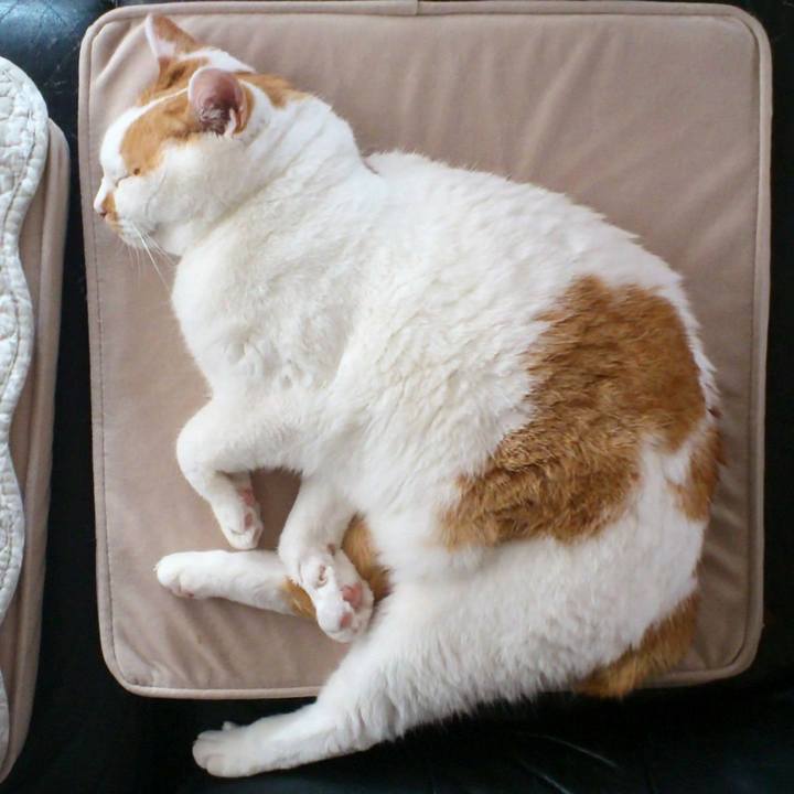 83744f43 6f48 42b2 a86a 8791c8264a21 1764254035862