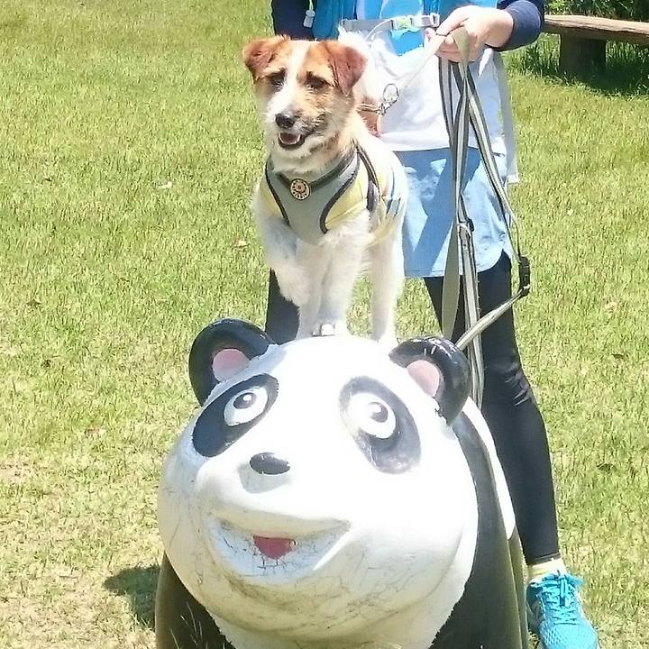 83745c3c a64b 4809 94b5 b02c39a80324 1559999848793