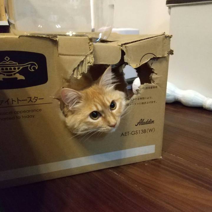 8374b06f d325 4b68 8df9 35a4d53ccf60 1651157257948