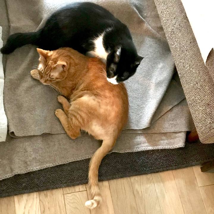 8374b63d dd8d 45fa 94d4 6ec966643308 1548035612728