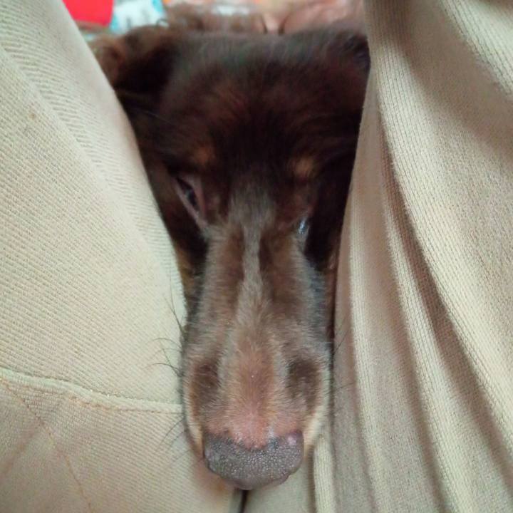 8374f40e 15c8 4bee 9594 eace2382dee5 1757195954997