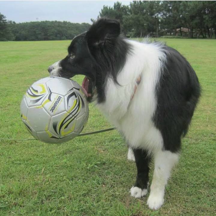 83752b06 6236 4319 b041 cfec9ac7105f 1758979073541