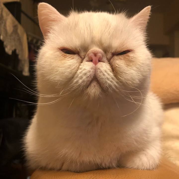 83753643 0969 4664 b1e6 e3683c01127a 1642675786175