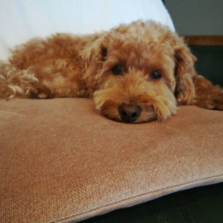 837546b5 8511 49a2 a03c 1b00879b0d9c 1538000379230