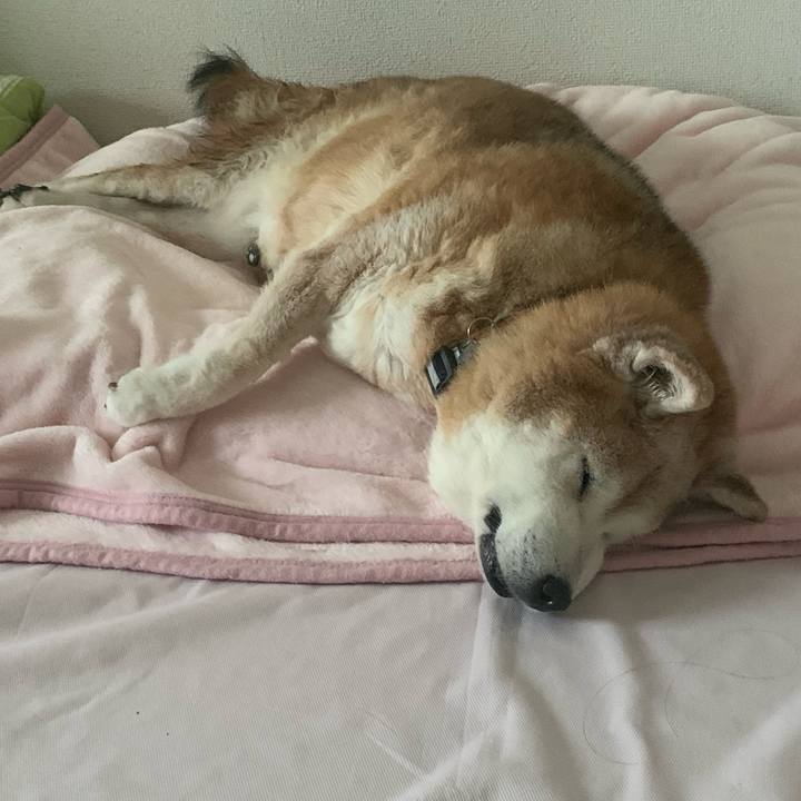 83754fea 4e14 4f86 a2a0 7ba3d767e5db 1687904168196