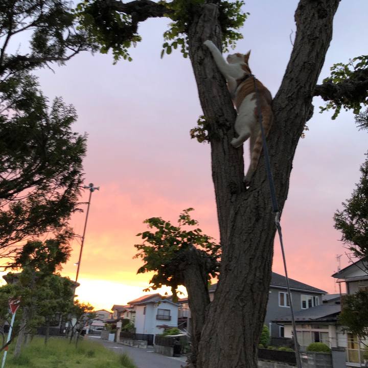 837551a9 caab 418a 9dc3 47b1442152e7 1558694770232