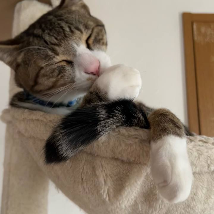 83756ea8 640e 46c0 9865 4e6ecf45040b 1721704270993