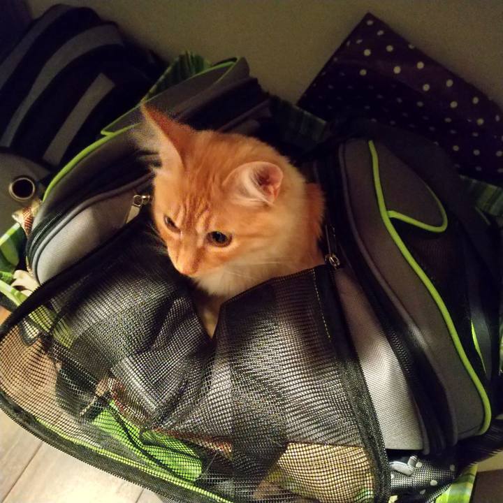 8375820e 2c19 4f6a bdac f9bc760b6a4b 1619354167216