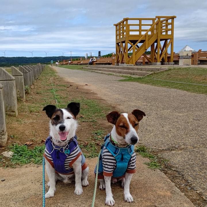 8375ba37 4b1c 40f8 9c4d 336874b58b93 1658030393809