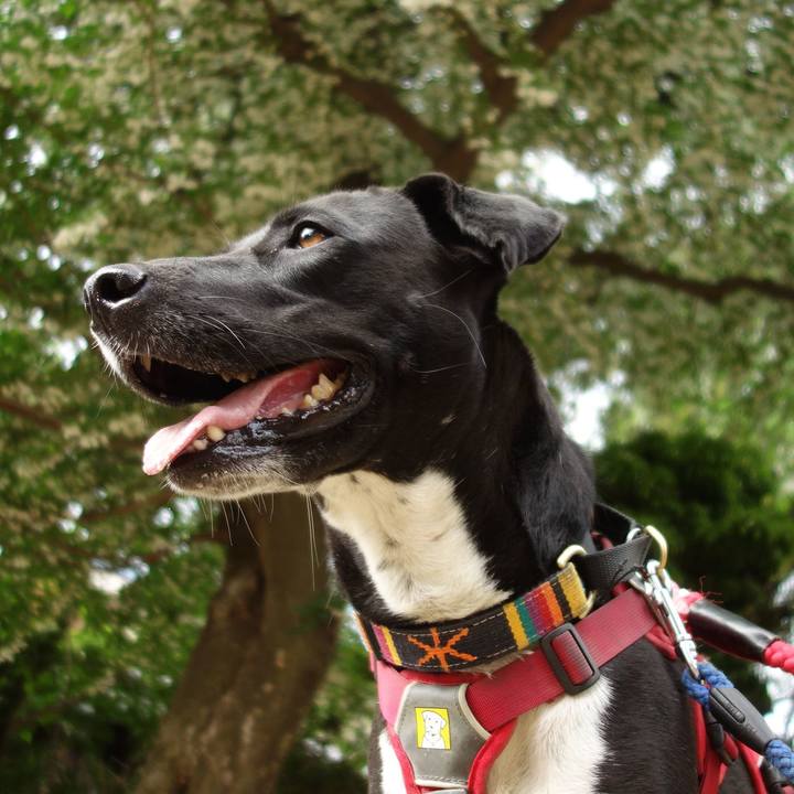 8375cd1a 2b19 4ca7 9d15 fccf139550e3 1589590450732