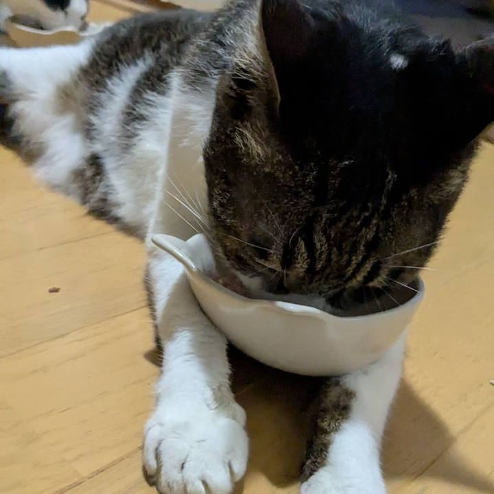 8375ec2e 0226 4d14 aee1 94d8268350d8 1754310335588