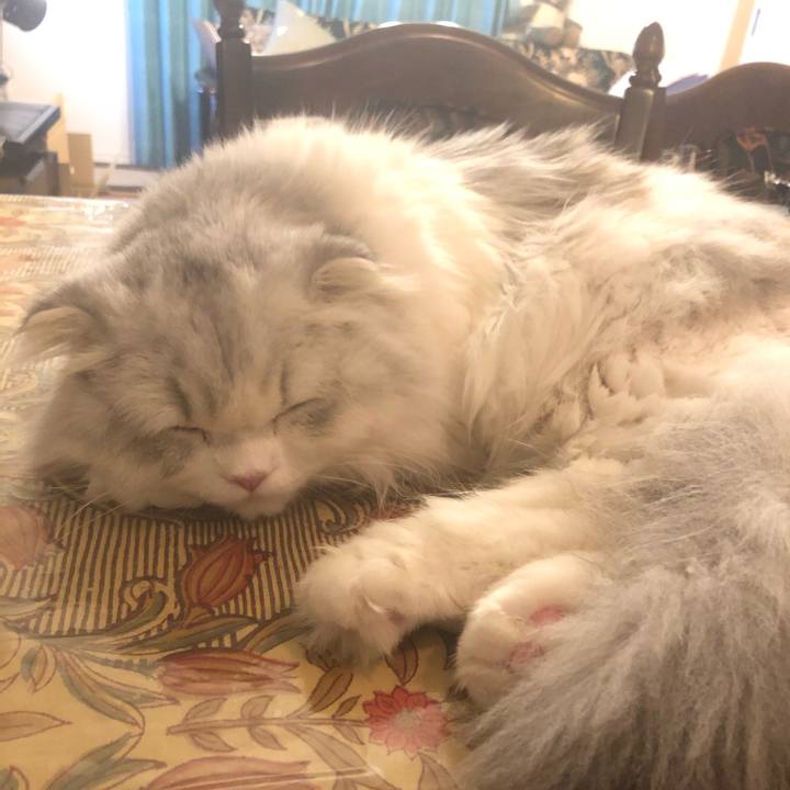 8376192e b875 44db b388 8defe7534ea5 1608811350629