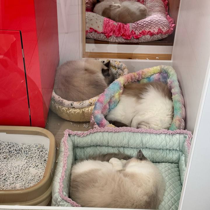 83763d88 0bb0 4134 ba0d cee3a3da6439 1773067714572