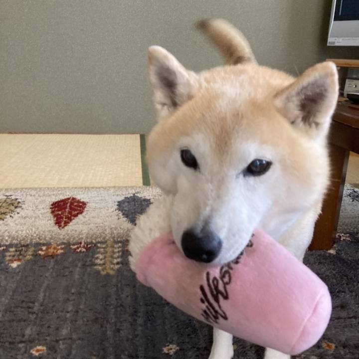 8376544c d343 4b6a a6b9 9db59f5ee1bb 1763967995770