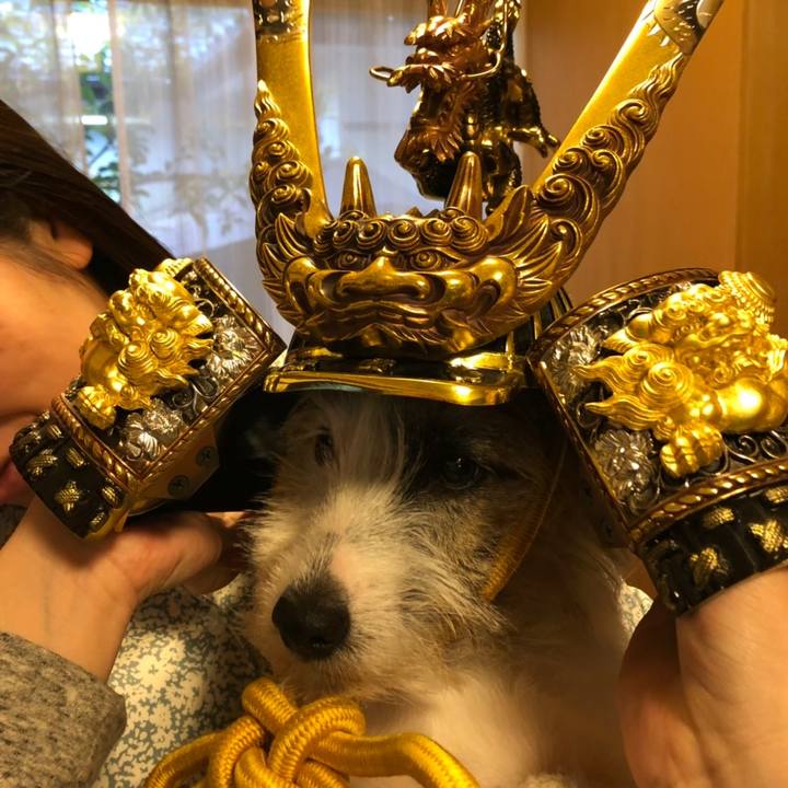 837662f2 85ec 46a0 9af7 c92059e7238d 1683443917914