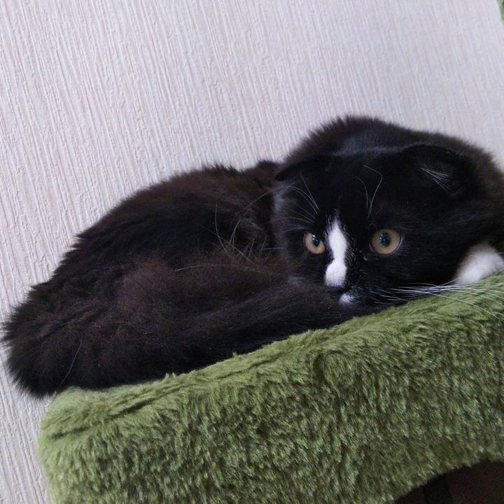 8376df79 4d9a 4ab3 8e5f 21ccb551b62d 1646632577743