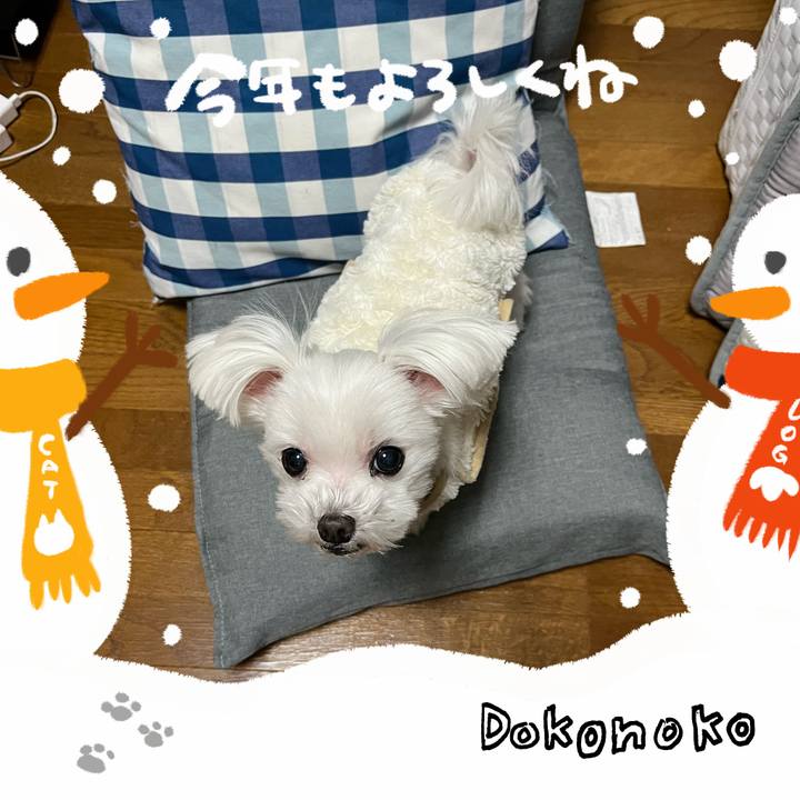 83770906 c0de 43b4 9caf cd773df66ea5 1704070479191