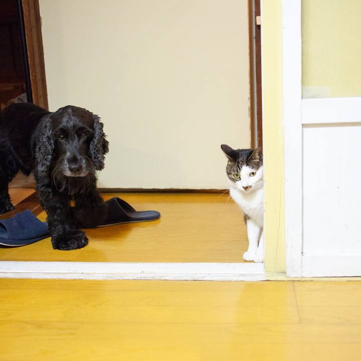 83775627 b378 4e44 adbb 8342de82106c 1571415427162