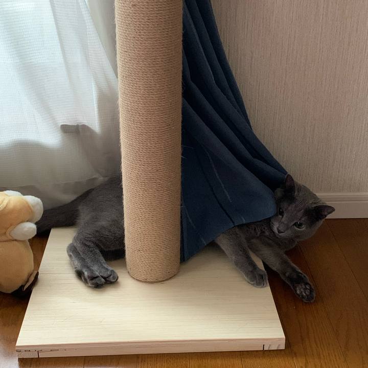 83775df8 1de6 4205 8169 d9a34f58e28d 1594419968618