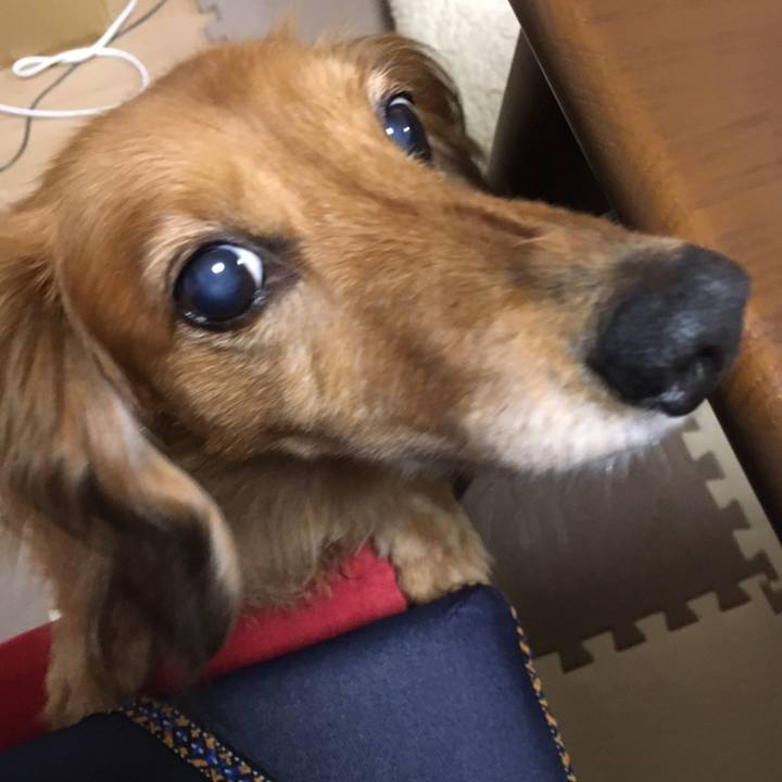 837768d4 b466 420a 9002 f3d2aa0522de 1558535167522