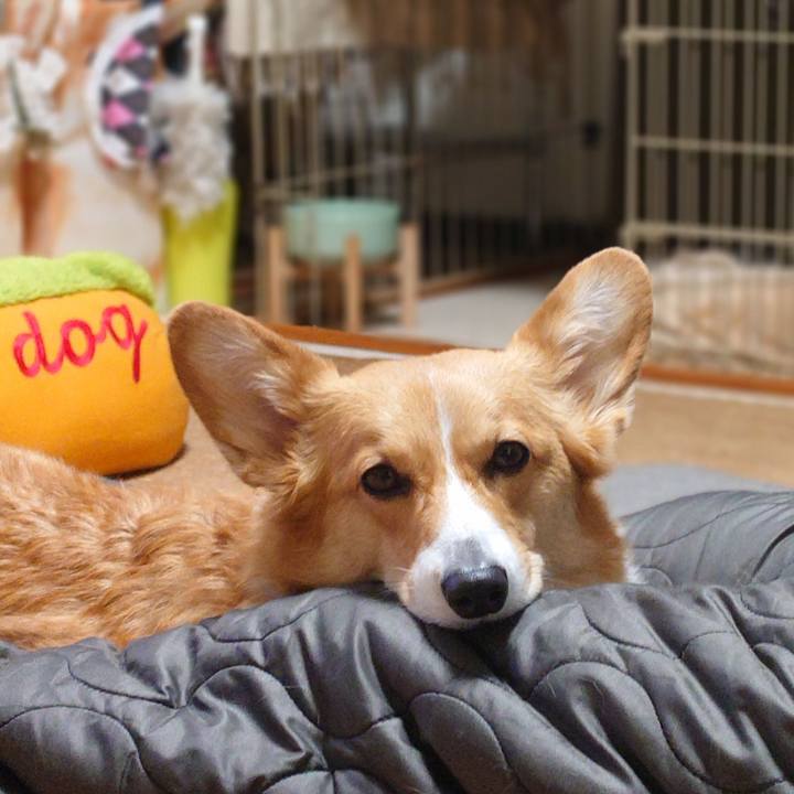 837771f8 55d4 46fa be33 7bc64f3cbf40 1766243311129