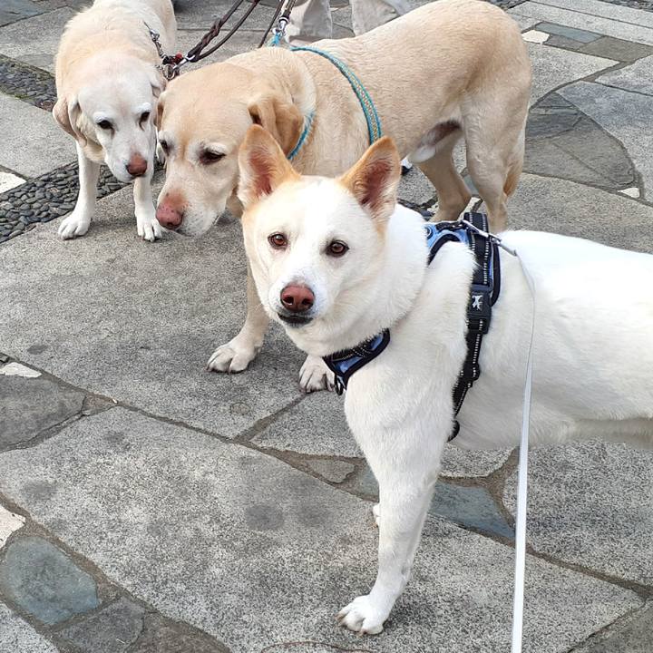 83778977 f288 4e6d bf06 e03e67ff3b43 1647132744905