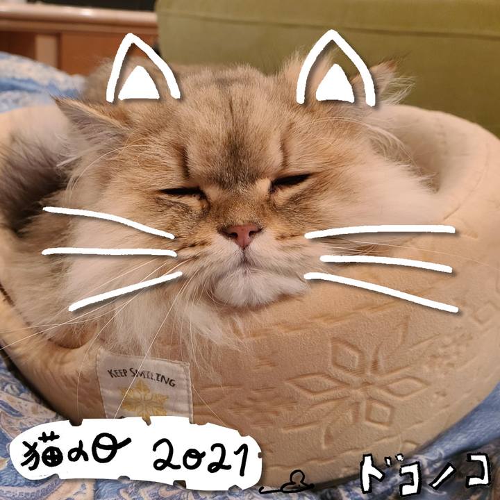 8377bf0f 6a4f 44c1 a36f dc7038b1b29c 1613997972328