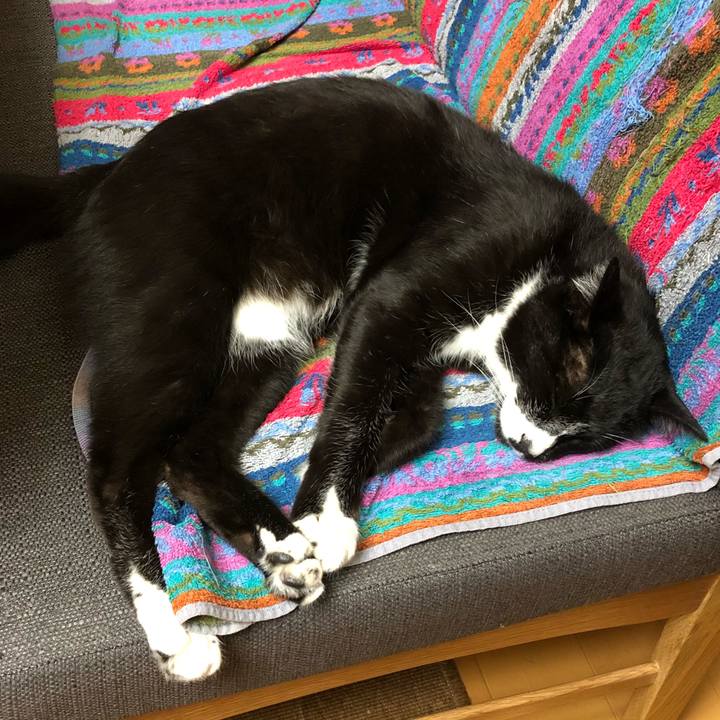 8377e7f4 a4c3 4236 853a 0d2f016f8bdb 1527219830033