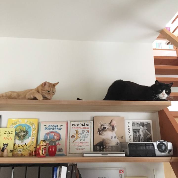 8377eae0 2128 43bc 889e f56b68e196b1 1563409447224