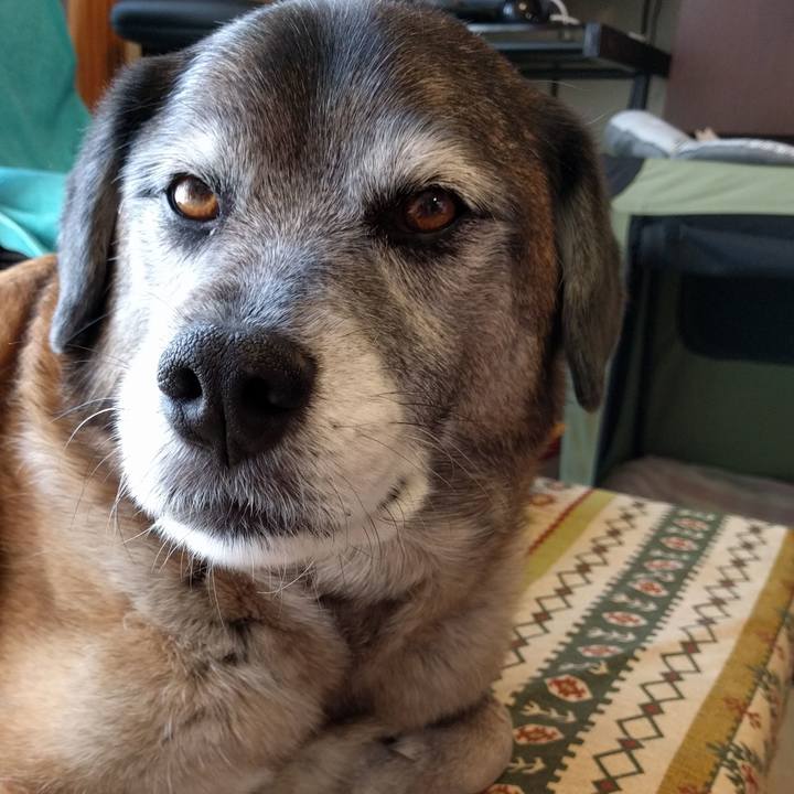 83780524 8a18 49d9 8f8d ff47ce9b5090 1521091820371