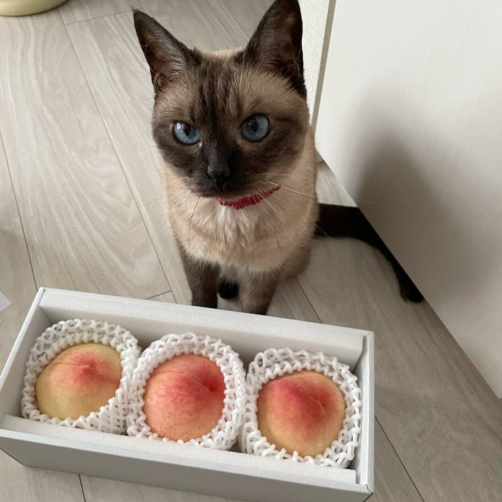 83780ea9 1af1 4cc8 9442 fcd319a94db1 1753590708483