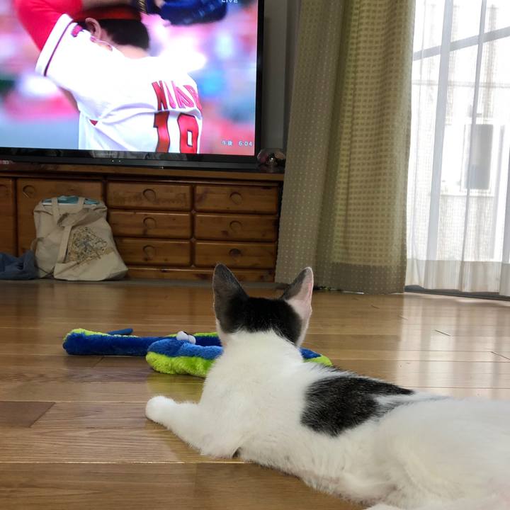 837812c1 5f97 4039 a6b9 8380f169c255 1566379351679