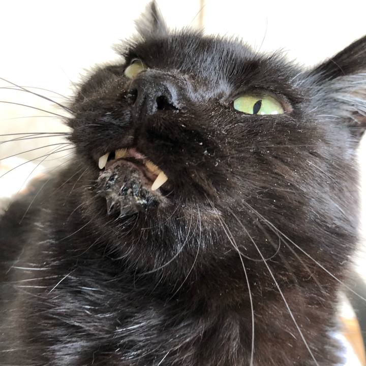 83782f8d 2564 4535 9c54 14046f47bbae 1631930244937