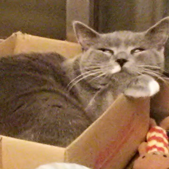 837859bd 2379 4b36 8a57 58abd16749ea 1539389326316