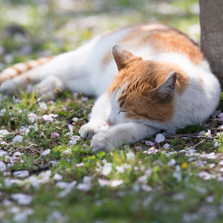 837873fc 1ee0 4834 a41e 86cdb61a9bf6 1554742856138