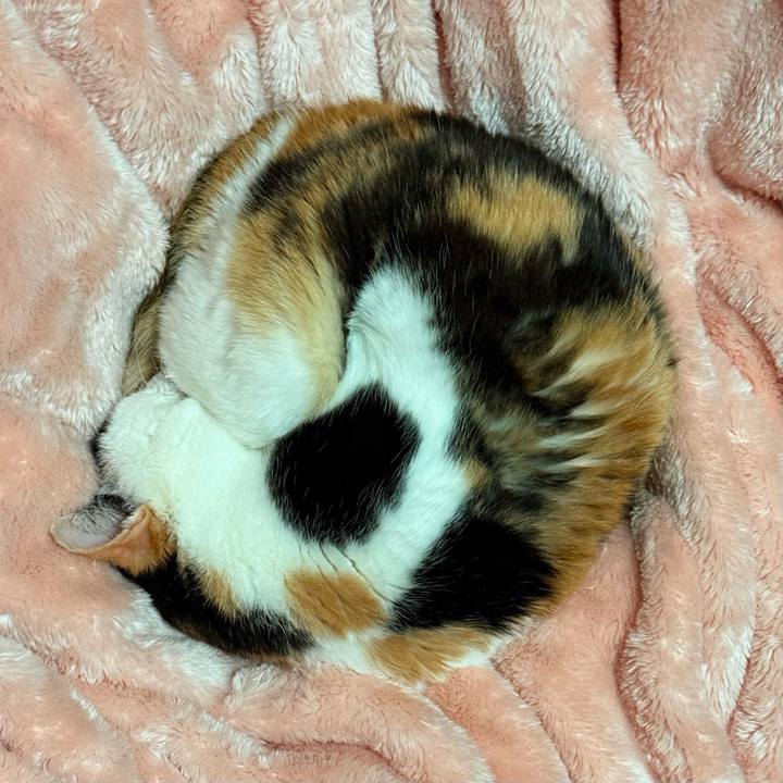 83787be2 e7c4 4826 8442 71bde79c8ff6 1743904019783