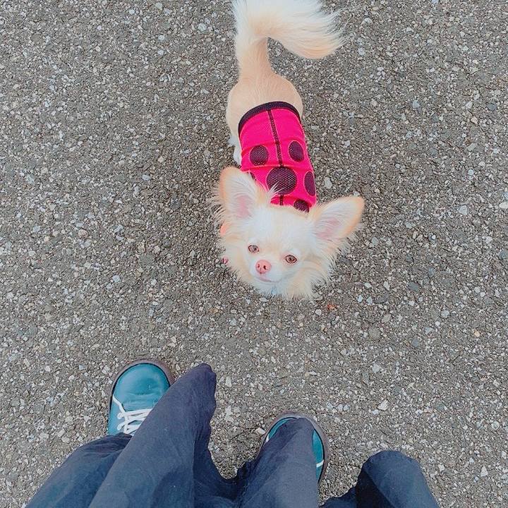 8378a425 7d31 40f7 8d7f 2170a7c89456 1621587040077