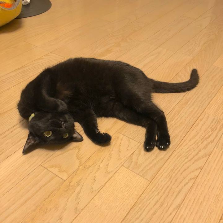 8378ccc6 d5c0 4504 8220 8eaa07aca20f 1528807913074