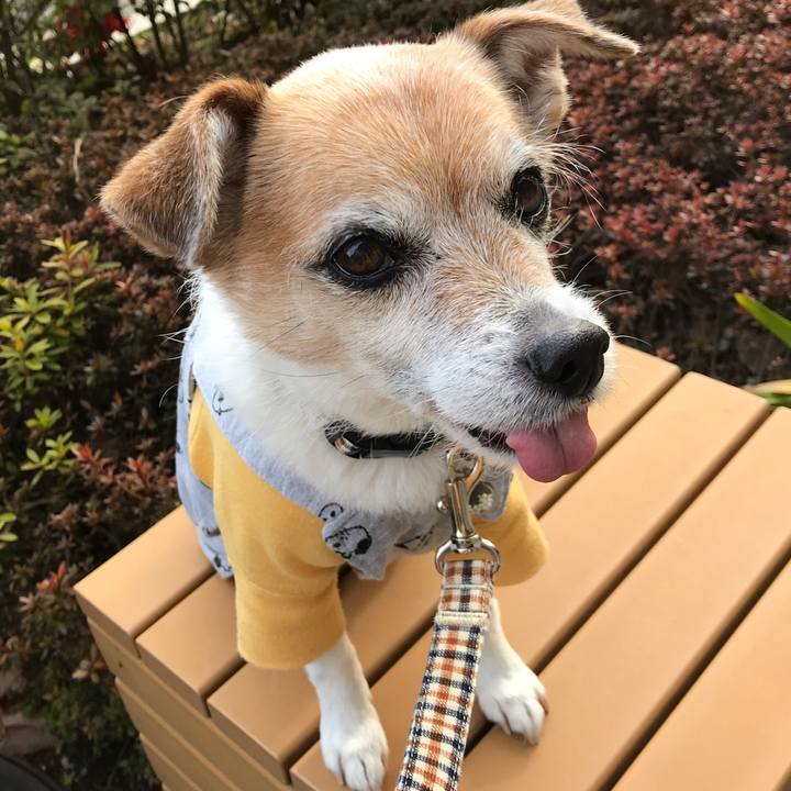 8379178a 08a2 4312 8849 f05990c0e2fb 1646033702936